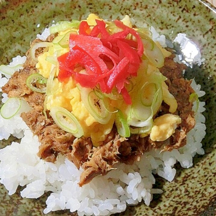 サバの味噌煮缶で節約丼